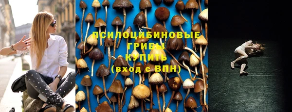 прущая мука Абинск