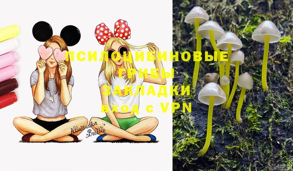 круглые Новокубанск