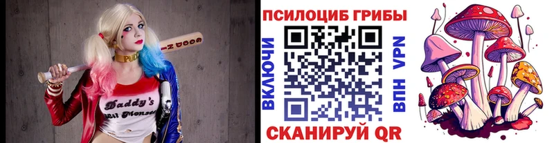 Псилоцибиновые грибы Cubensis Братск